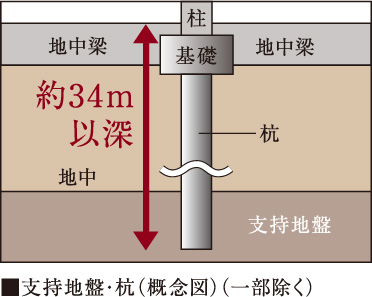 良好な地盤まで打ち込んだ16本の杭（基礎構造）